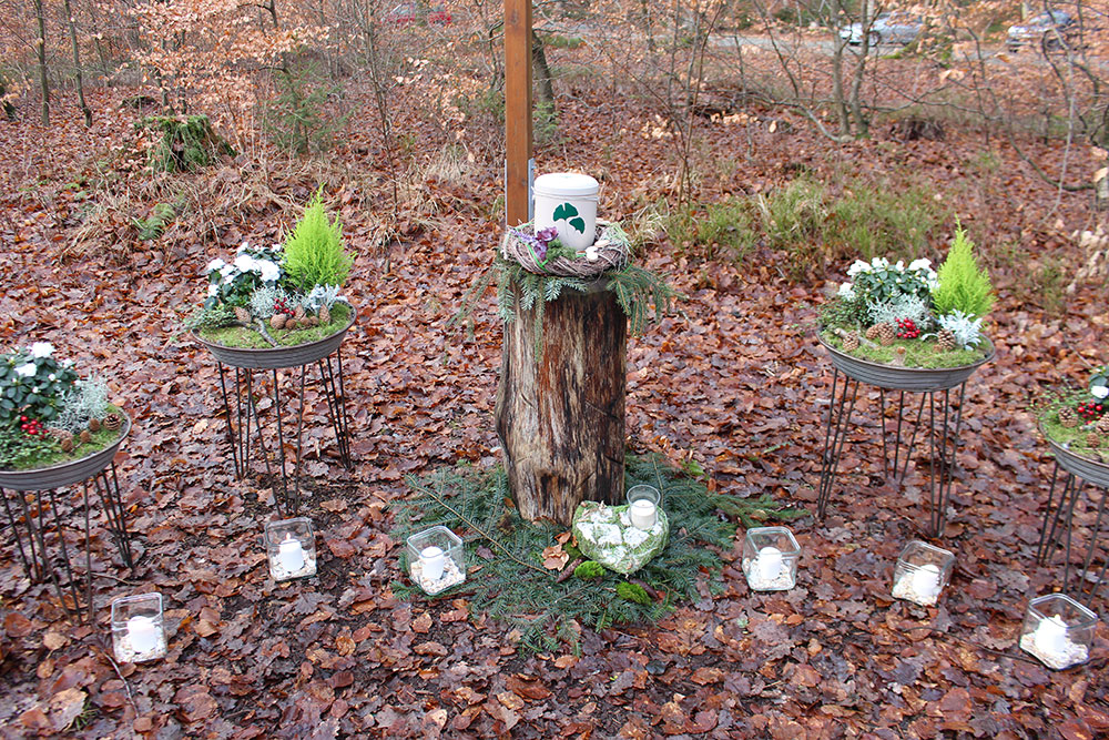 Waldbestattung 7